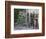 Potted Plants Decorate a Patio in Tuscany, Petroio, Italy-Dennis Flaherty-Framed Photographic Print