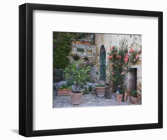 Potted Plants Decorate a Patio in Tuscany, Petroio, Italy-Dennis Flaherty-Framed Photographic Print