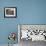 Potted Plants Decorate a Patio in Tuscany, Petroio, Italy-Dennis Flaherty-Framed Photographic Print displayed on a wall