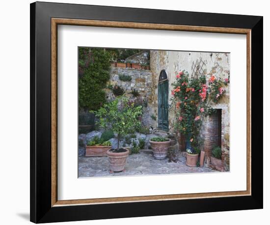 Potted Plants Decorate a Patio in Tuscany, Petroio, Italy-Dennis Flaherty-Framed Photographic Print