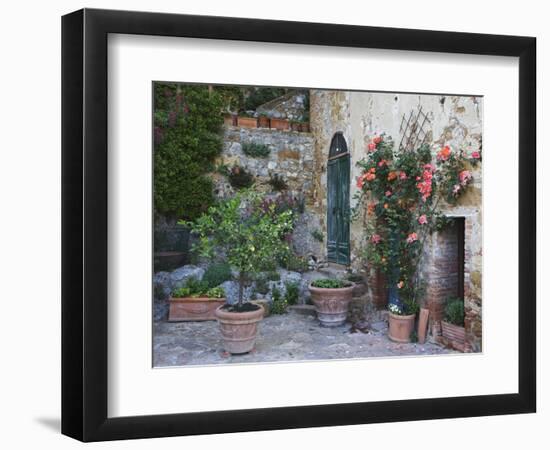 Potted Plants Decorate a Patio in Tuscany, Petroio, Italy-Dennis Flaherty-Framed Photographic Print