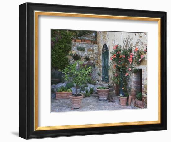 Potted Plants Decorate a Patio in Tuscany, Petroio, Italy-Dennis Flaherty-Framed Photographic Print