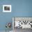 Potted Plants Decorate a Patio in Tuscany, Petroio, Italy-Dennis Flaherty-Framed Photographic Print displayed on a wall