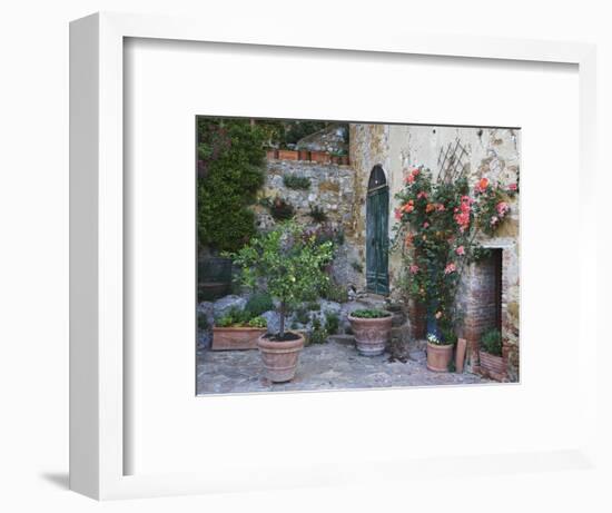 Potted Plants Decorate a Patio in Tuscany, Petroio, Italy-Dennis Flaherty-Framed Photographic Print