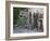 Potted Plants Decorate a Patio in Tuscany, Petroio, Italy-Dennis Flaherty-Framed Photographic Print