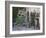 Potted Plants Decorate a Patio in Tuscany, Petroio, Italy-Dennis Flaherty-Framed Photographic Print