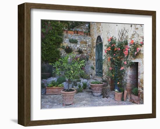 Potted Plants Decorate a Patio in Tuscany, Petroio, Italy-Dennis Flaherty-Framed Photographic Print