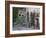 Potted Plants Decorate a Patio in Tuscany, Petroio, Italy-Dennis Flaherty-Framed Photographic Print