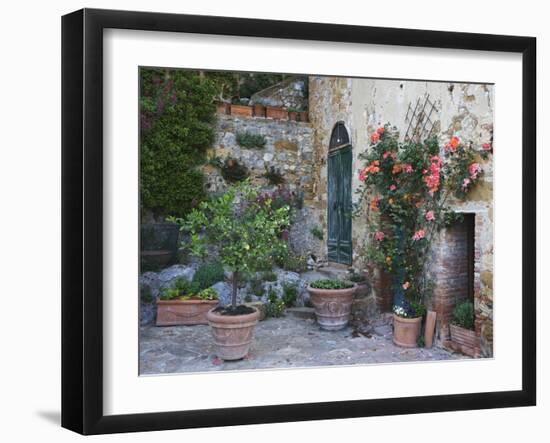 Potted Plants Decorate a Patio in Tuscany, Petroio, Italy-Dennis Flaherty-Framed Photographic Print