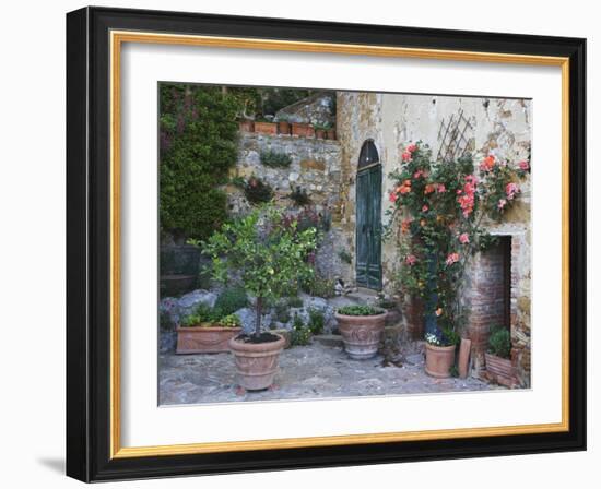 Potted Plants Decorate a Patio in Tuscany, Petroio, Italy-Dennis Flaherty-Framed Photographic Print