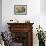 Potted Plants on the Wall of a House, Valldemossa, Mallorca, Spain-Peter Thompson-Framed Photographic Print displayed on a wall