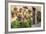 Potted Plants on the Wall of a House, Valldemossa, Mallorca, Spain-Peter Thompson-Framed Photographic Print