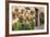 Potted Plants on the Wall of a House, Valldemossa, Mallorca, Spain-Peter Thompson-Framed Photographic Print