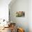 Potted Plants on the Wall of a House, Valldemossa, Mallorca, Spain-Peter Thompson-Photographic Print displayed on a wall