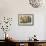 Potted Plants on the Wall of a House, Valldemossa, Mallorca, Spain-Peter Thompson-Framed Photographic Print displayed on a wall