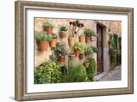 Potted Plants on the Wall of a House, Valldemossa, Mallorca, Spain-Peter Thompson-Framed Photographic Print