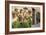 Potted Plants on the Wall of a House, Valldemossa, Mallorca, Spain-Peter Thompson-Framed Photographic Print