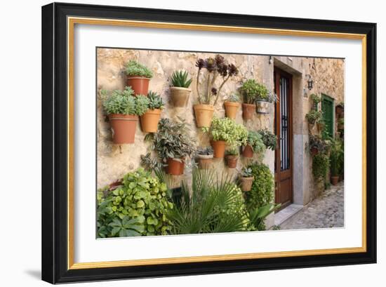 Potted Plants on the Wall of a House, Valldemossa, Mallorca, Spain-Peter Thompson-Framed Photographic Print