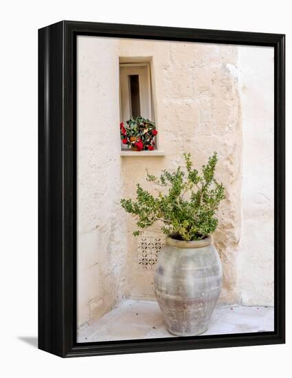 Potted plants outside the Sassi houses.-Julie Eggers-Framed Premier Image Canvas