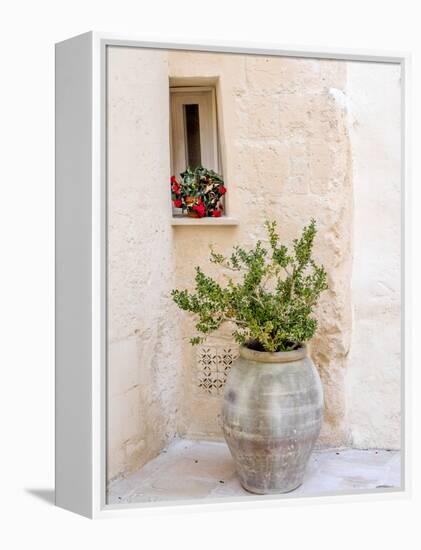 Potted plants outside the Sassi houses.-Julie Eggers-Framed Premier Image Canvas