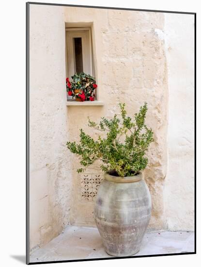 Potted plants outside the Sassi houses.-Julie Eggers-Mounted Photographic Print