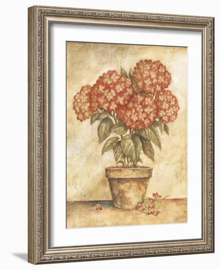 Potted Red Hydrangea-Tina Chaden-Framed Art Print