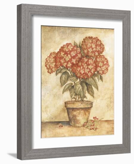 Potted Red Hydrangea-Tina Chaden-Framed Art Print