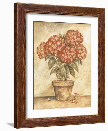 Potted Red Hydrangea-Tina Chaden-Framed Art Print