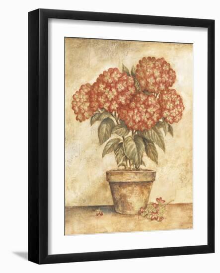 Potted Red Hydrangea-Tina Chaden-Framed Art Print