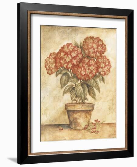 Potted Red Hydrangea-Tina Chaden-Framed Art Print