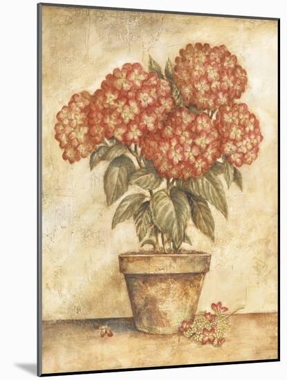 Potted Red Hydrangea-Tina Chaden-Mounted Art Print