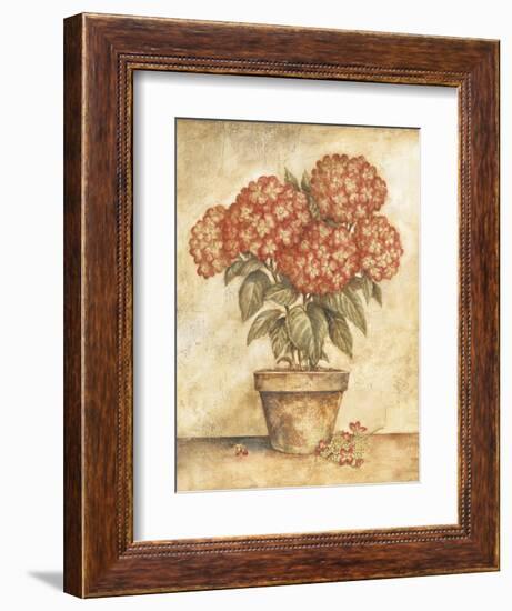 Potted Red Hydrangea-Tina Chaden-Framed Art Print