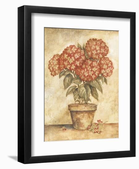 Potted Red Hydrangea-Tina Chaden-Framed Art Print