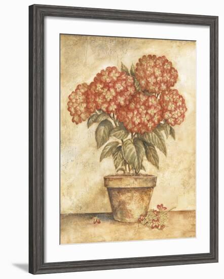 Potted Red Hydrangea-Tina Chaden-Framed Art Print