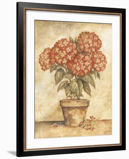 Potted Red Hydrangea-Tina Chaden-Framed Art Print