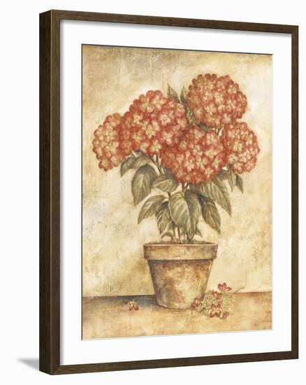 Potted Red Hydrangea-Tina Chaden-Framed Art Print