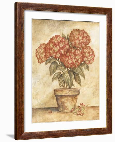 Potted Red Hydrangea-Tina Chaden-Framed Art Print