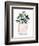 Potted Succulent IV-Jennifer Parker-Framed Premium Giclee Print