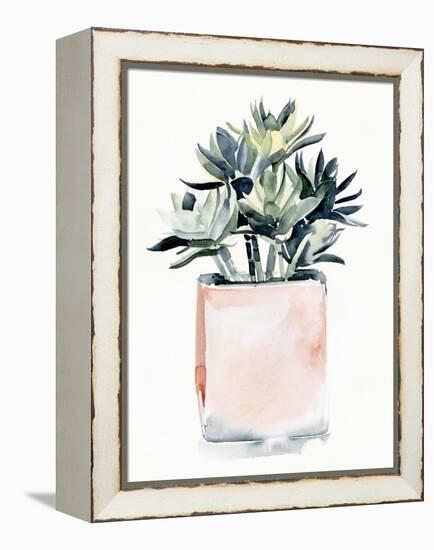 Potted Succulent IV-Jennifer Parker-Framed Stretched Canvas