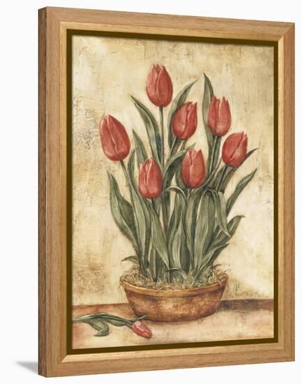 Potted Tulips-Tina Chaden-Framed Stretched Canvas