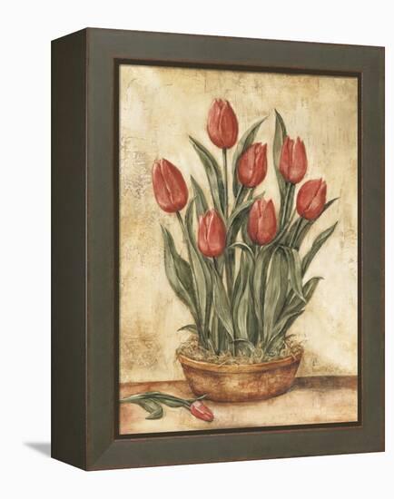 Potted Tulips-Tina Chaden-Framed Stretched Canvas