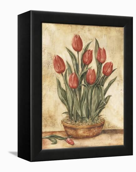 Potted Tulips-Tina Chaden-Framed Stretched Canvas