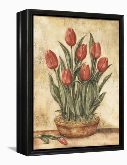 Potted Tulips-Tina Chaden-Framed Stretched Canvas