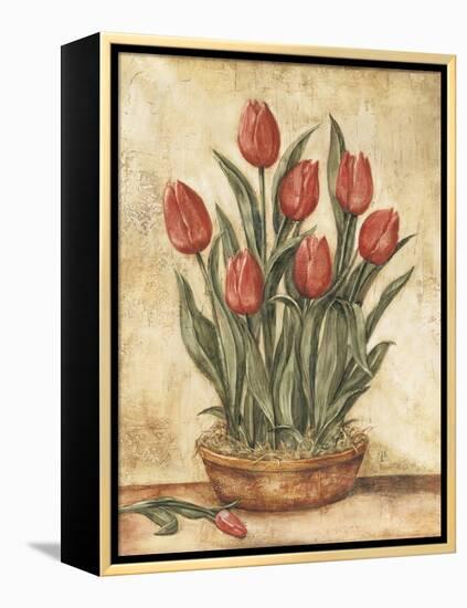 Potted Tulips-Tina Chaden-Framed Stretched Canvas