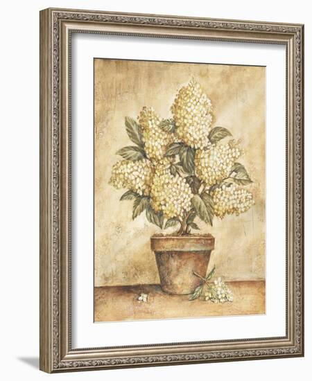 Potted White Hydrangea-Tina Chaden-Framed Art Print