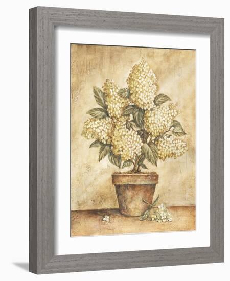 Potted White Hydrangea-Tina Chaden-Framed Art Print