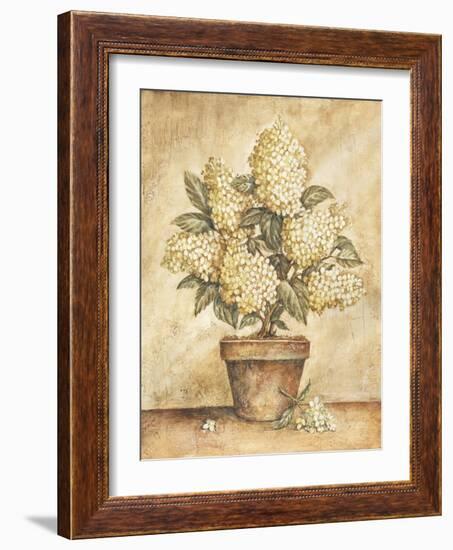 Potted White Hydrangea-Tina Chaden-Framed Art Print