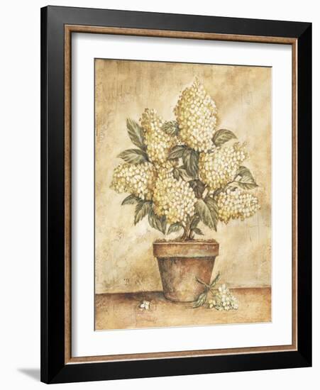 Potted White Hydrangea-Tina Chaden-Framed Art Print