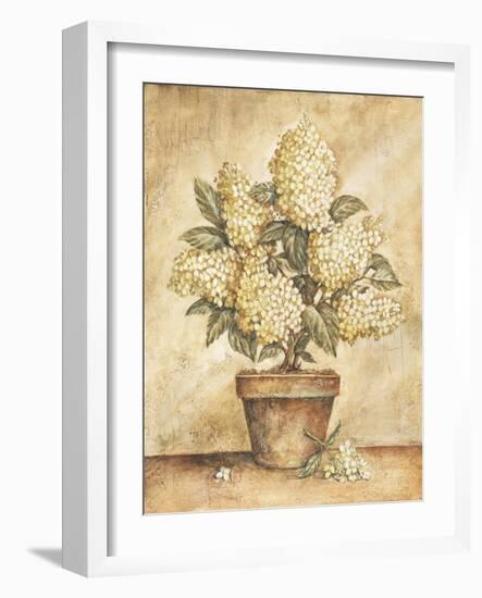 Potted White Hydrangea-Tina Chaden-Framed Art Print