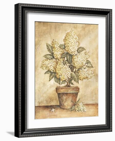 Potted White Hydrangea-Tina Chaden-Framed Art Print